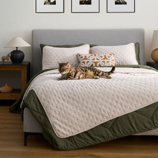 quilt_2_39afcc2b-71cf-4b26-b44e-3f1e0a971710.jpg