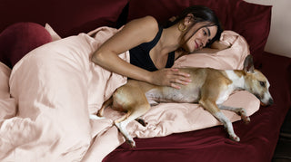 valentine_s_banner_a3bba898-a8f2-4952-9473-f8d90c3a4046.jpg
